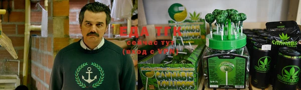 гидра Алексин
