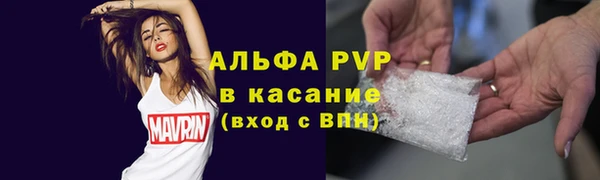 гидра Алексин