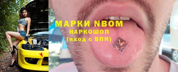 гидра Алексин