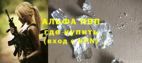 гидра Алексин