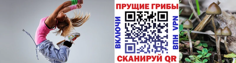 цены наркотик  Уфа  Псилоцибиновые грибы Cubensis 